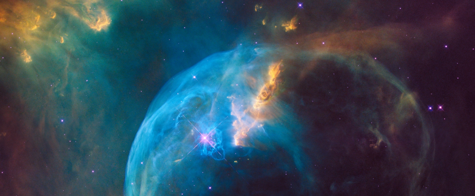 reformation rose blog