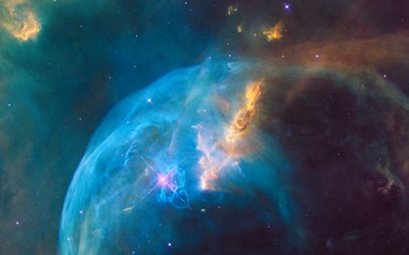 reformation rose blog