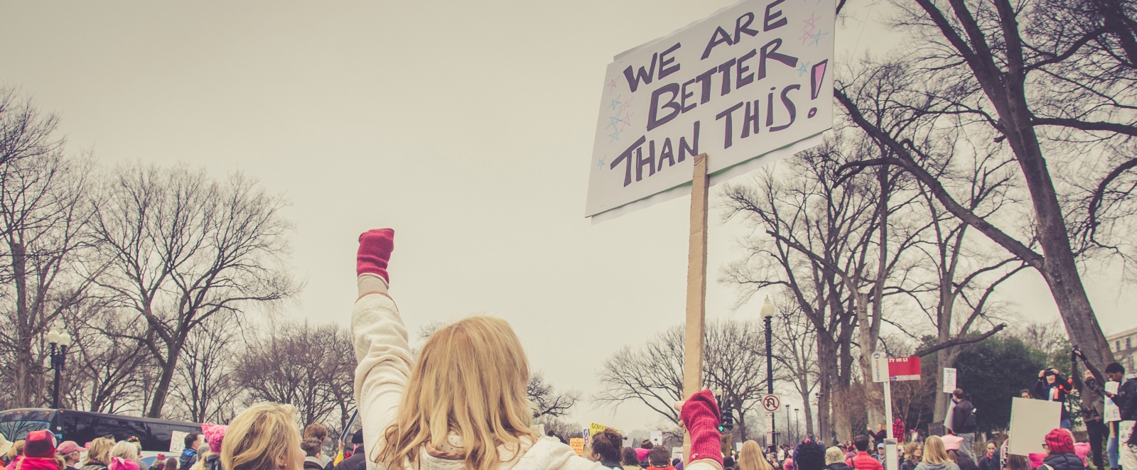 political ideals blog