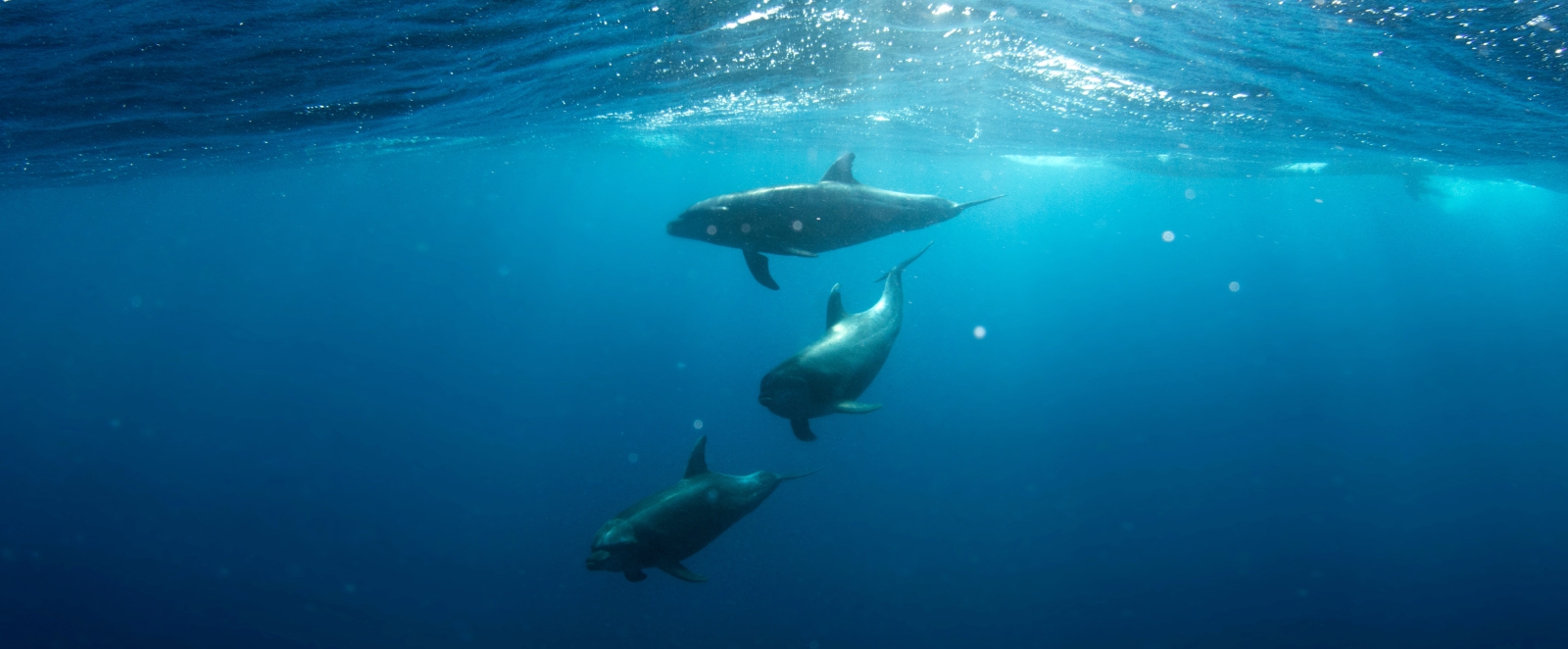 ranquet communication blog