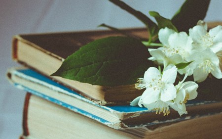 leslies journey blog