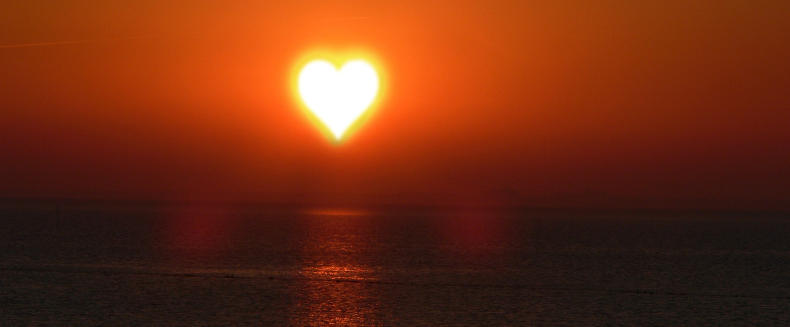 anne hall no harm blog