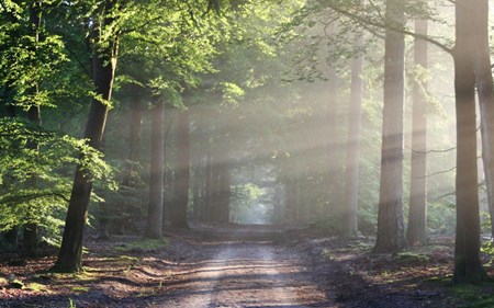 april many happy returns