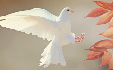 1206 blog enlightenment series