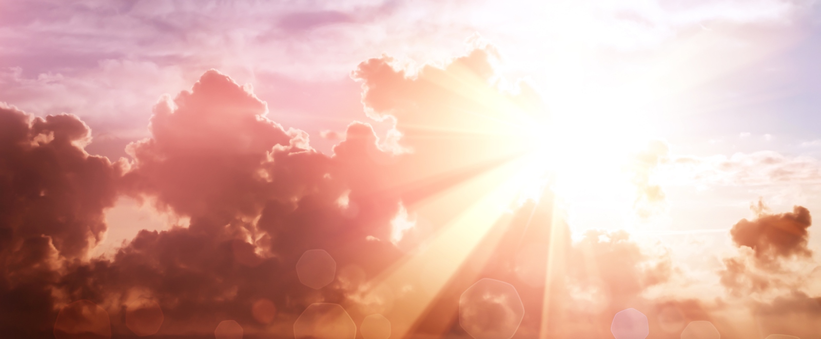 blog 09272020 andrewjackson