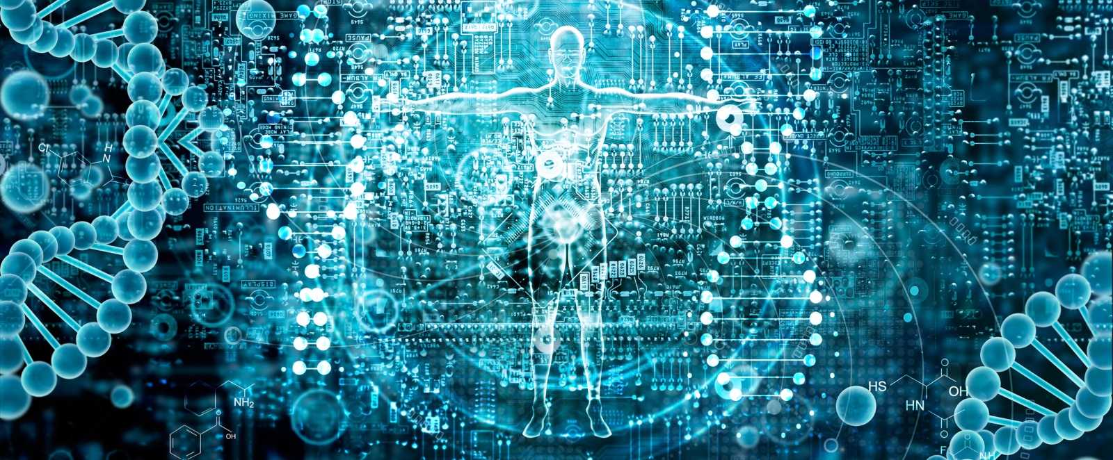 blog november2020 enlightenmentseries