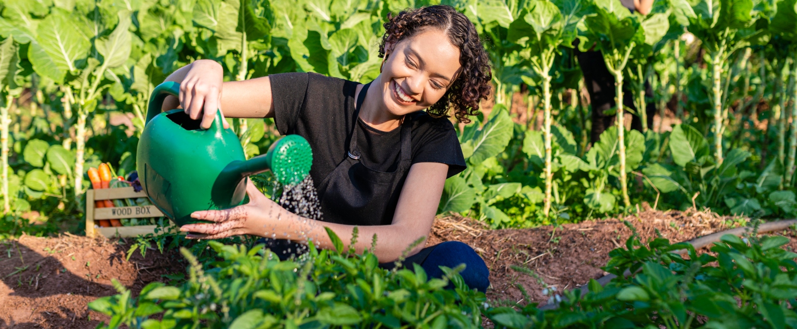 spiritual gardening blog 226