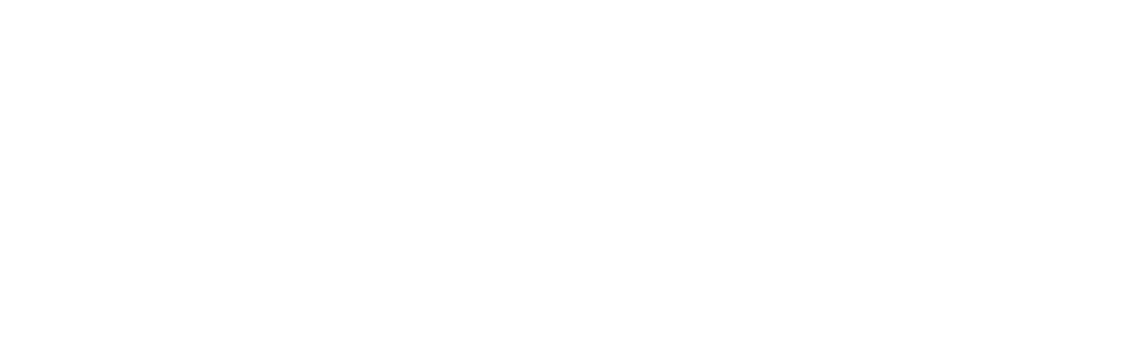ecare logo notag horizontal white