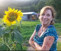 jennie taylor sunflower