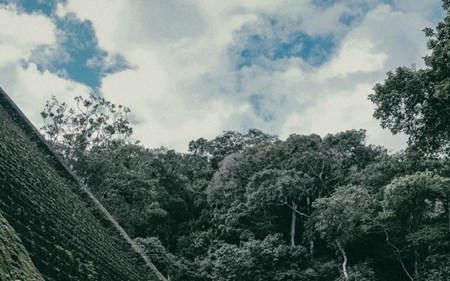 earthchanges mayan