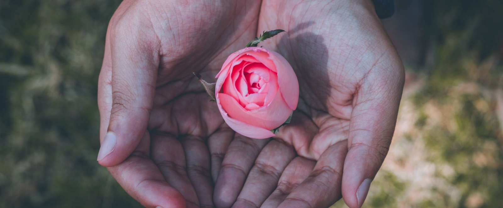 rheumatoid arthritis