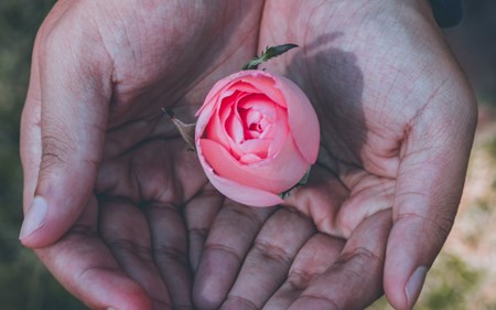 rheumatoid arthritis