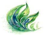 green feather graphic